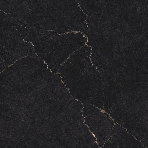 DONATELLA CHARCOAL